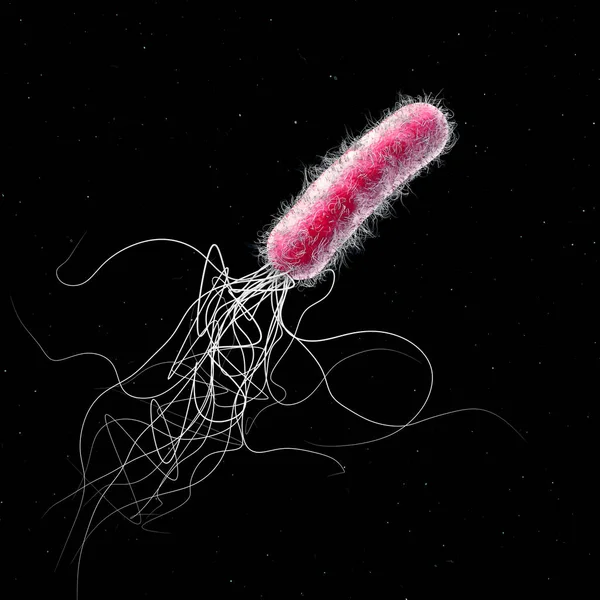 Singolo rosso colorato più antibiotico resistente Pseudomonas aeruginosa batterio - illustrazione 3d — Foto Stock