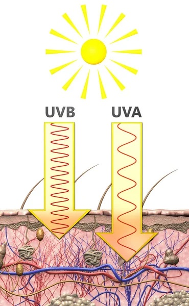 A型和b型紫外线在阳光下波长差异的说明性表示 — 图库照片