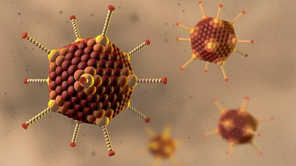 Virus cells of the adenovirus family in icosahedral shape