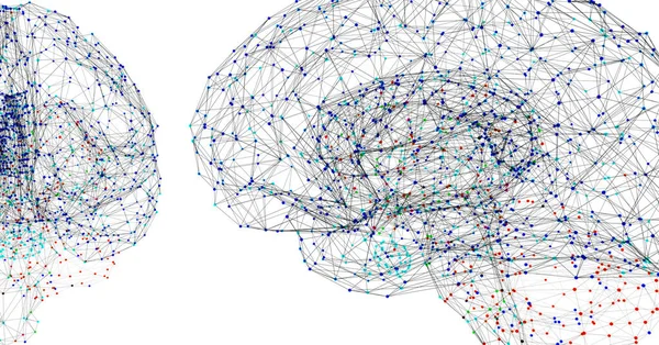 El cerebro humano representado por puntos de luz conectados por líneas - ilustración 3d — Foto de Stock