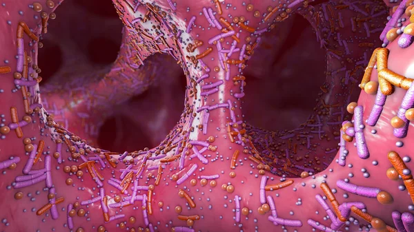 Germes Diferentes Nos Intestinos Humanos Chamado Microbiota Ilustração — Fotografia de Stock