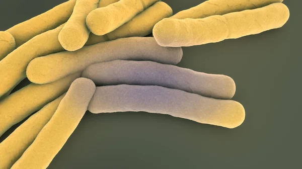 Akumulasi Bakteri Tuberkulosis Ilustrasi — Stok Foto
