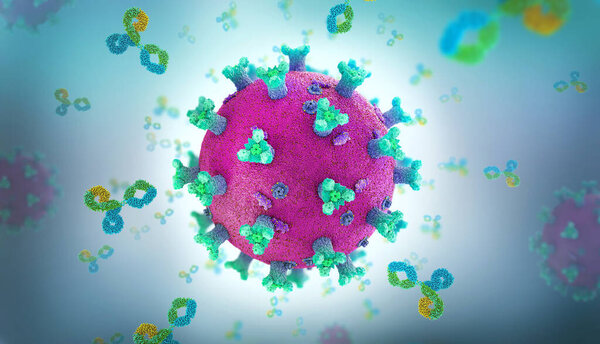 Immunoglobulin or antibody proteins attack a corona virus pathogen cell - 3d illustration