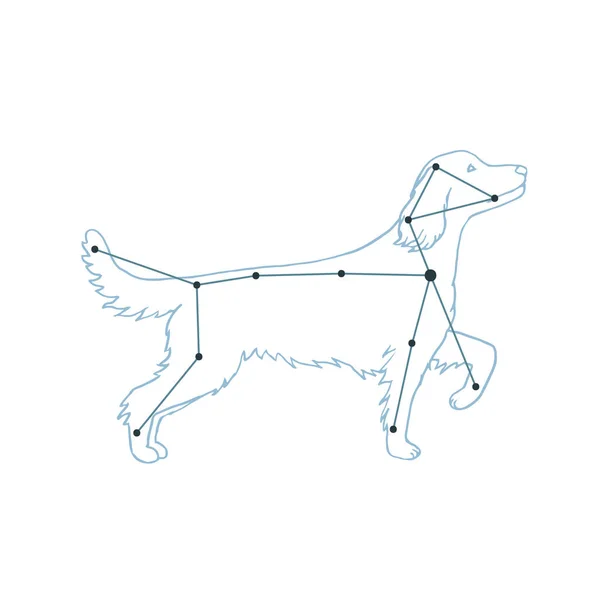 Vektorillustrasjon Canis Major Hundekonstellasjon Håndtegnet Bakgrunn Astrologibilde – stockvektor