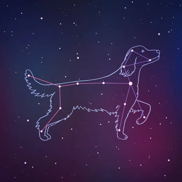 Büyük Köpek 'in vektör illüstrasyonu. Köpek takımyıldızı el çizimi arka plan. Bulanık alan arkaplanındaki Astroloji resmi.