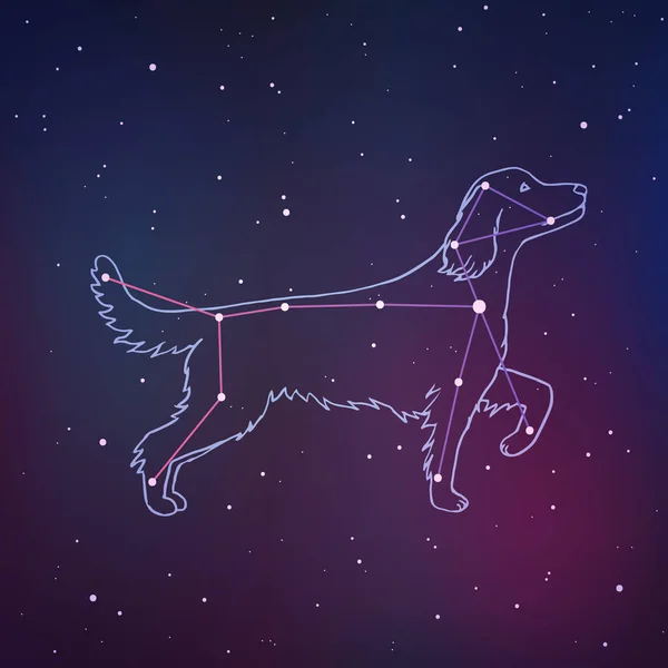 कैनिस मेजर के वेक्टर चित्रण। कुत्ते के नक्षत्र हाथ से तैयार पृष्ठभूमि। धुंधला अंतरिक्ष पृष्ठभूमि पर ज्योतिष तस्वीर . — स्टॉक वेक्टर