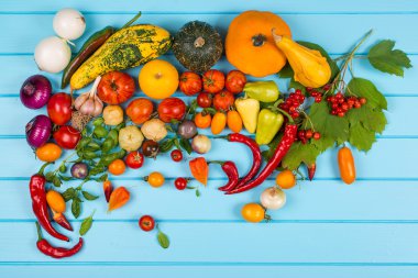 Sebze arka plan. Taze biber, domates, fesleğen, kabak, kabak, baharat ve baharat mavi ahşap zemin üzerinde. Organik gıda kavramı. Metin için yer.