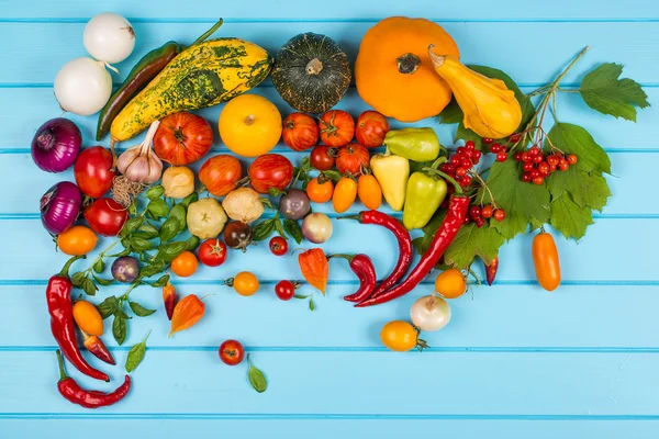 Vegetable background. Fresh peppers, tomatoes, basil, zucchini,pumpkin,spices and seasoning on blue wooden background. Organic food concept. Space for text.