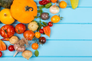Sebze arka plan. Taze biber, domates, fesleğen, kabak, kabak, baharat ve baharat mavi ahşap zemin üzerinde. Organik gıda kavramı. Metin için yer.
