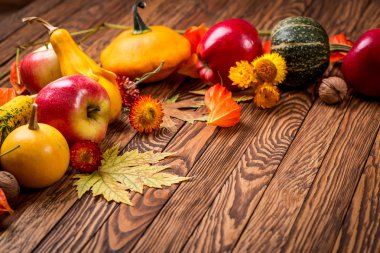 Ahşap kurullarında sonbahar arka plan. Seçici odak. Metin için yer.