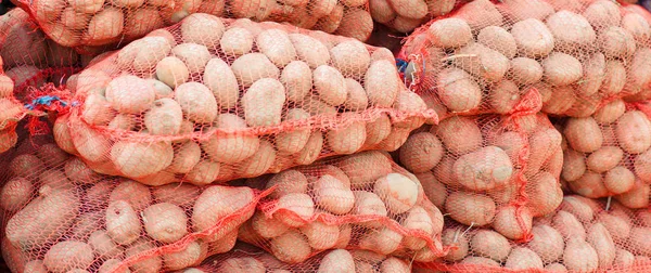 A lot of sacks full of potatos. — Stock Photo, Image