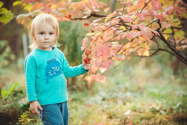 Porträtt av pojke i höst park. — Stockfoto