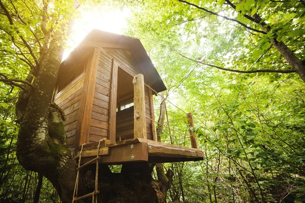 Tree house in the garden. — Stock Photo, Image