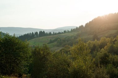 Yaz aylarında güzel dağlar peyzaj.