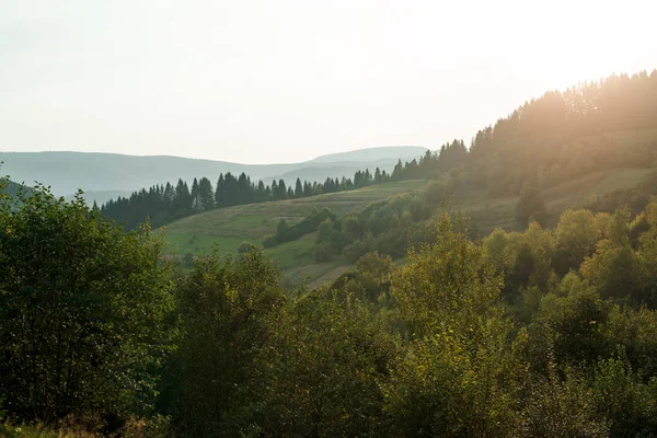 Yaz aylarında güzel dağlar peyzaj.