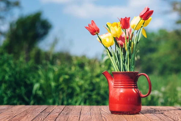 Bellissimi tulipani colorati in un giardino. Biglietto per la festa della mamma . — Foto Stock