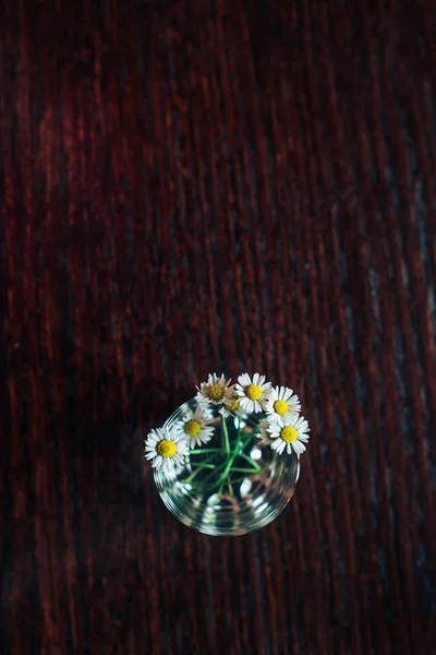 Piccole margherite in vaso di vetro su fondo di legno . — Foto Stock