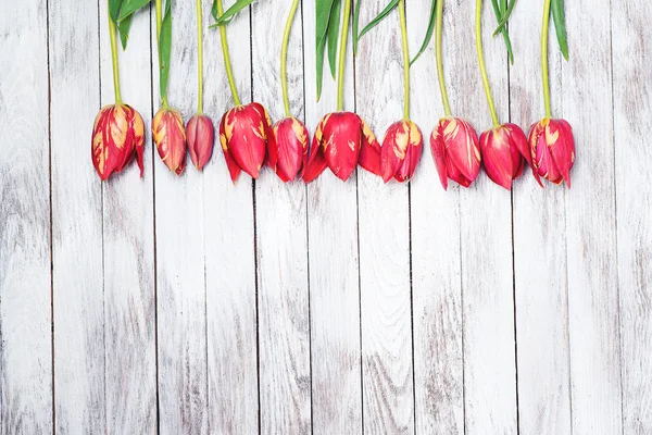 Bellissimi tulipani rossi su sfondo di legno. Spazio per testo . — Foto Stock