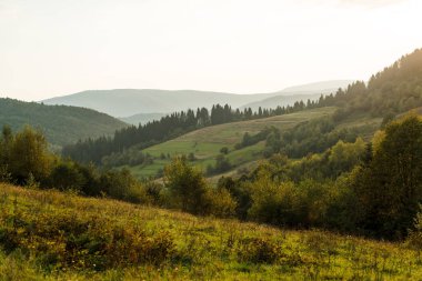 Yaz aylarında güzel dağlar peyzaj.