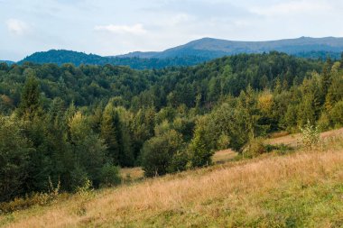 Yaz aylarında güzel dağlar peyzaj.