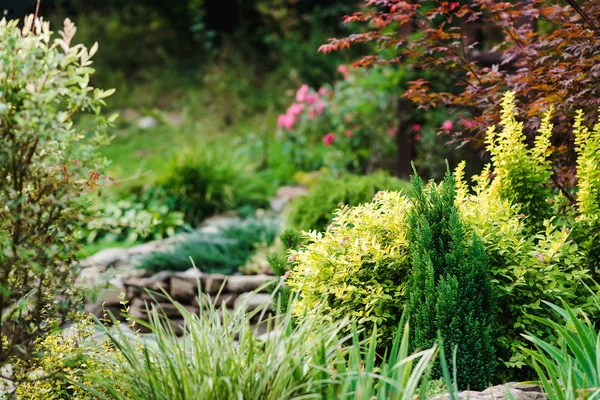 Beautiful landscaping in home garden.