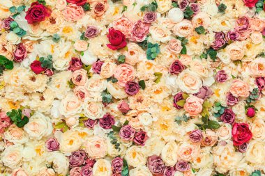 Güzel çiçekler duvar arka plan ve portre.