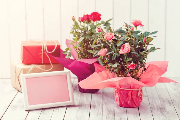 Belas rosas em um pote com um cartão de saudação em branco no fundo de madeira rústica branca . — Fotografia de Stock