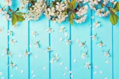 Mavi ahşap arka plan üzerinde beyaz çiçek çiçekler.