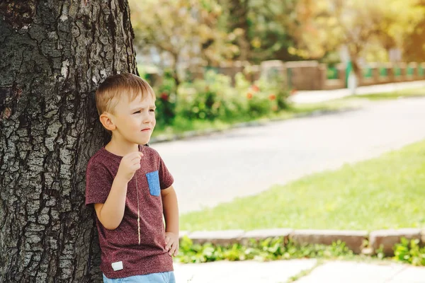 Cute little boy looking up the sky in sunny day. Child dreaming, hope concepts. — kuvapankkivalokuva