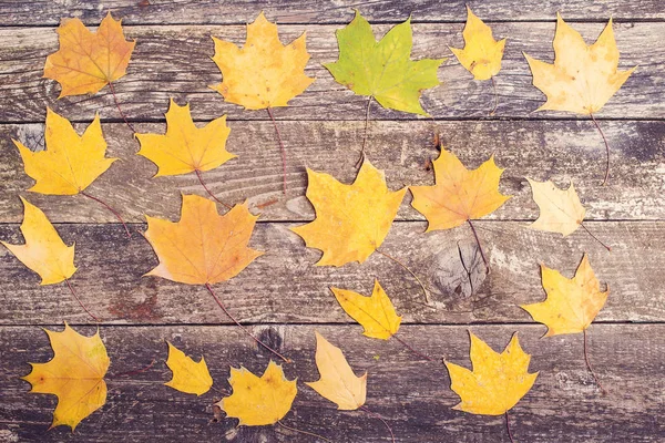 Hojas de otoño sobre fondo rústico de madera . — Foto de Stock
