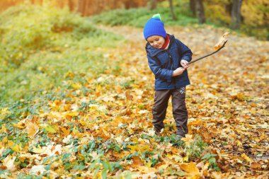 Mutlu yakışıklı ile düşmüş oynarken sonbahar ormanda bırakır.