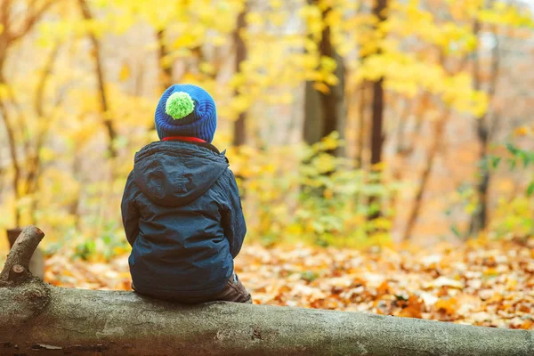 Vissza a kisfiú ül a napló őszi park view. — Stock Fotó
