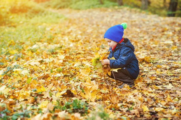 Lindo niño feliz jugando con hojas caídas en el parque de otoño . — Foto de Stock