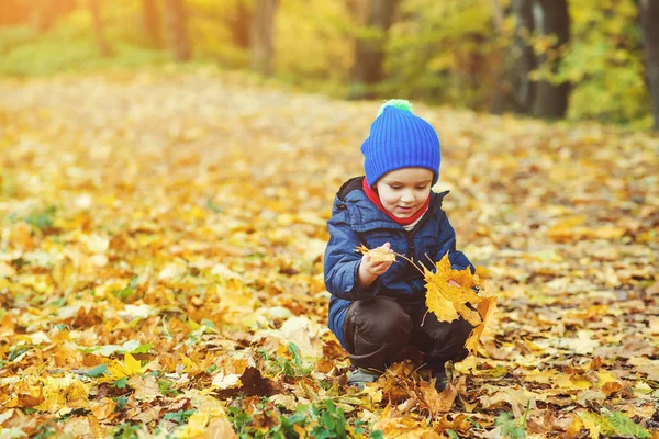 Netter fröhlicher Junge spielt mit fallenden Blättern im Herbstpark. — Stockfoto