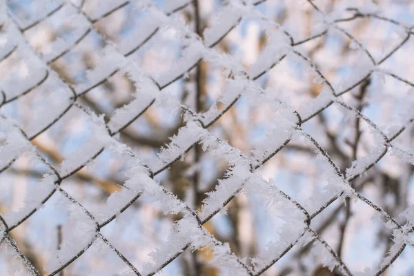 Забор, покрытый морозом зимой . — стоковое фото