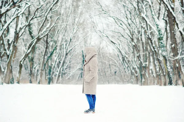 Giovane donna che cammina nel parco invernale innevato. Idea invernale . — Foto Stock