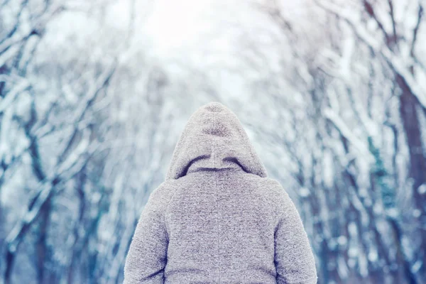 Visão traseira da mulher de casaco com capuz no parque de inverno . — Fotografia de Stock