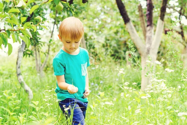 Neugieriger blonder Junge fängt Insekten im Garten. Nettes Kind hat Spaß im Freien. — Stockfoto