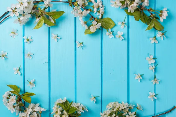 Weiße Blütenblumen auf blauem Holzhintergrund. — Stockfoto