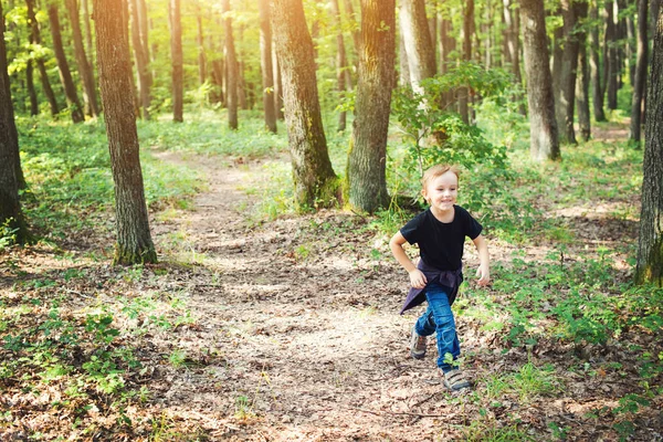 Niño feliz divirtiéndose durante la caminata por el bosque en el hermoso día de verano . — Foto de Stock