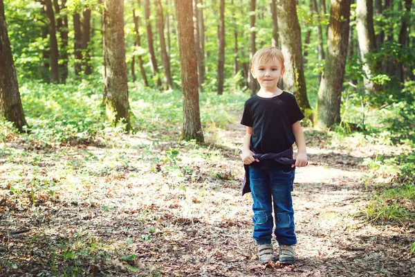 Lindo niño divirtiéndose durante la caminata por el bosque en hermoso día de verano . — Foto de Stock