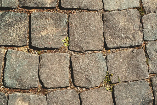 Oude cobblestoned bestrating achtergrond — Stockfoto