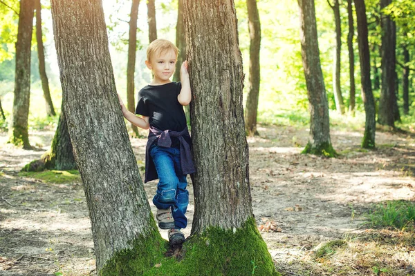 Lindo chico rubio jugando entre troncos de árbol en el soleado parque . — Foto de Stock