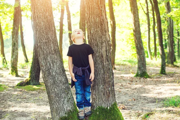 Bonito menino loiro brincando entre troncos de árvore no parque ensolarado . — Fotografia de Stock