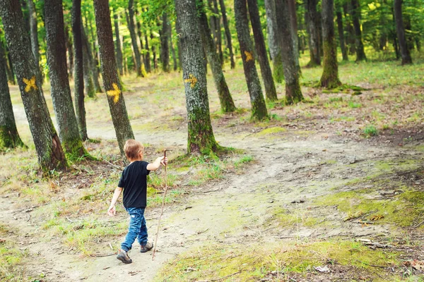 Niño feliz senderismo en el bosque, vista trasera — Foto de Stock