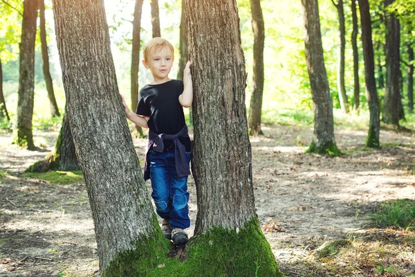 Χαριτωμένο ξανθό αγόρι που παίζει μεταξύ κορμούς δέντρων στο ηλιόλουστο πάρκο. — Φωτογραφία Αρχείου