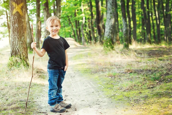 Feliz niño senderismo en el bosque, vacaciones de verano — Foto de Stock