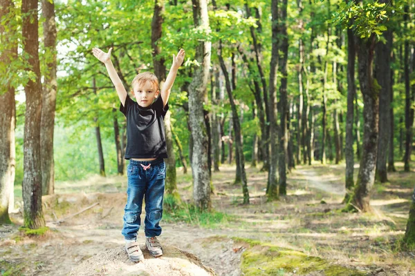 Pequeño niño disfrutar de caminar y divertirse en el bosque en el día soleado . — Foto de Stock