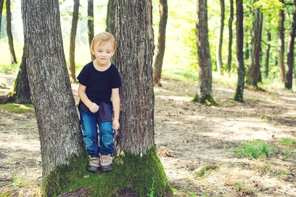 Χαριτωμένο ξανθό αγόρι που παίζει μεταξύ κορμούς δέντρων στο ηλιόλουστο πάρκο. — Φωτογραφία Αρχείου