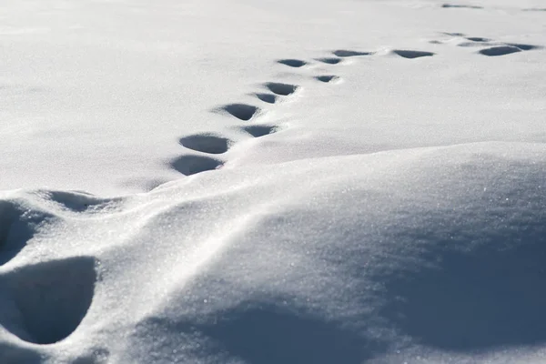 Подорожі та походи взимку. Сніговий фон зі слідами. Красивий зимовий пейзаж — стокове фото